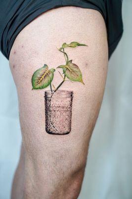Plants in a mason jar by Ian