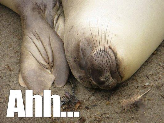 Jefferson City Massage