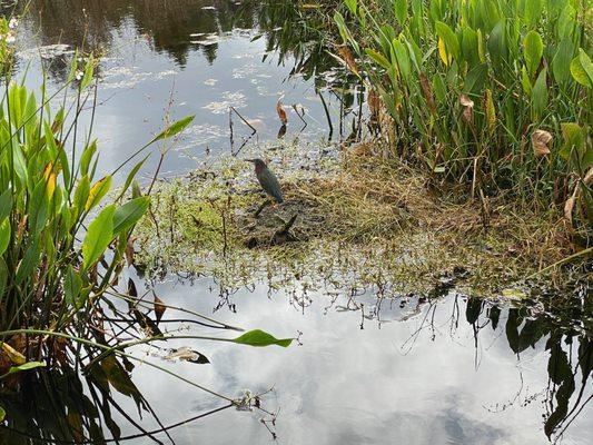 Green Cay Nature Center