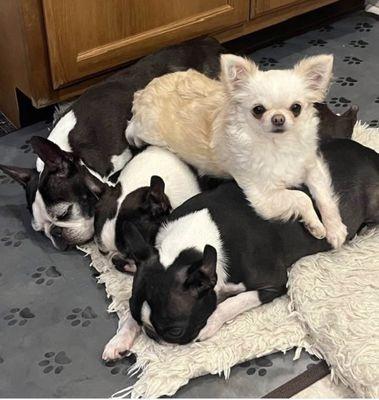 Wonderful family photo