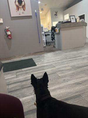 Viera East Veterinary Center