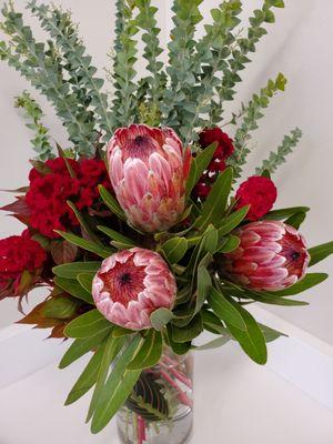 Princess Protea's