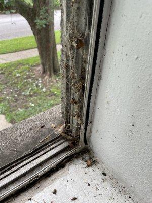 Silver Lake Apartments