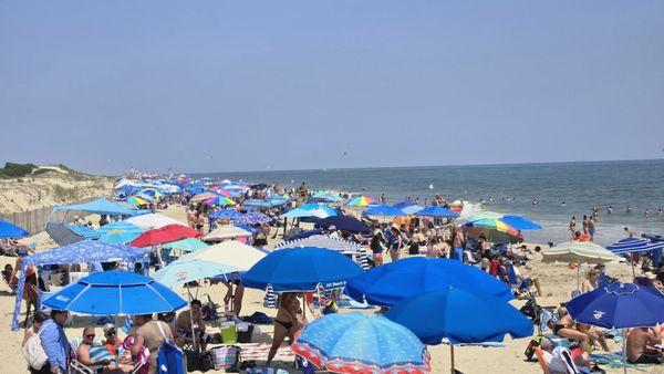 Kevin ODonnell- Milton De Real Estate