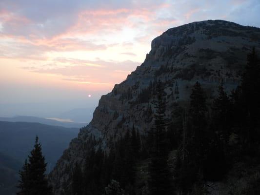 Medallus Urgent Care - American Fork