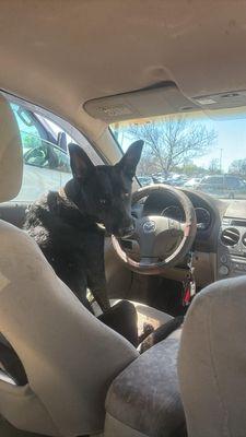 KNITEdoggy/masagge.com