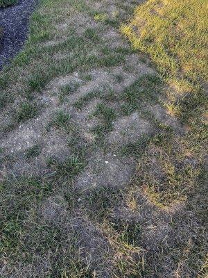 Start To Finish Landscaping