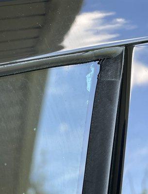 Pepe AutoPolarizado Mobile Window Tint