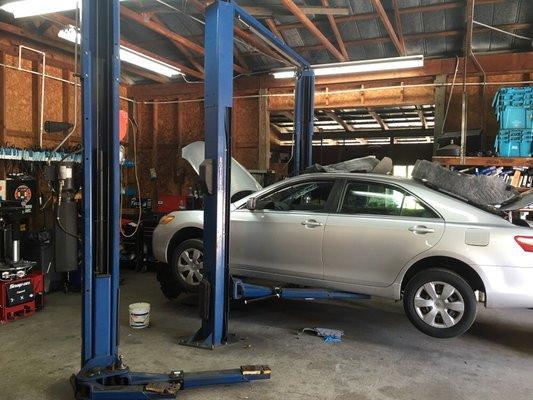 Carrollwood Auto Repair