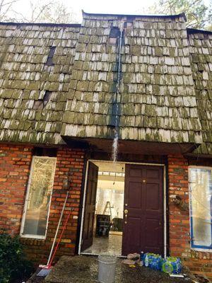 This place is the best