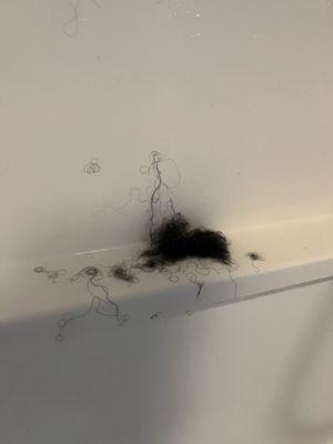 Kabelly Dominican Salon