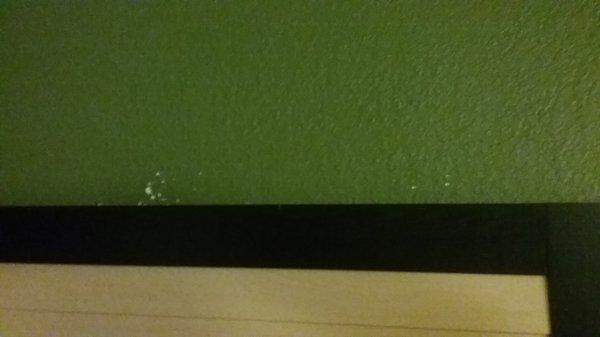 Paint damage to one wall in room.