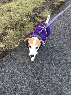 Cochituate Rail Trail
