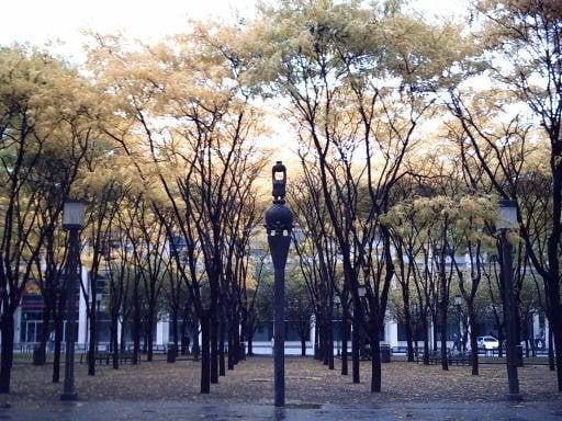 Visionary at Metrotech Brooklyn over of Jay Street.