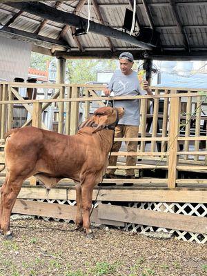 Krome Brewing Company