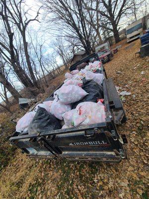 Will haul all your debris.