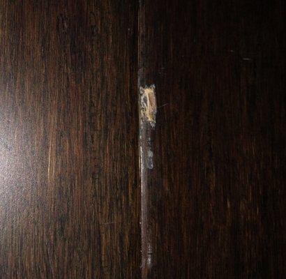 Couch damage purchased from Costco by way of man Wah aka cheers.