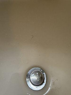 Larkspur Landing Bellevue