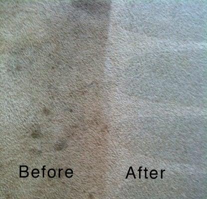 Carpet cleaning before and after picture