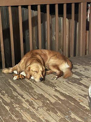 Another post daycare