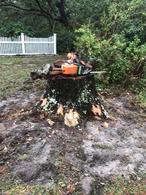 AA Stump Grinding