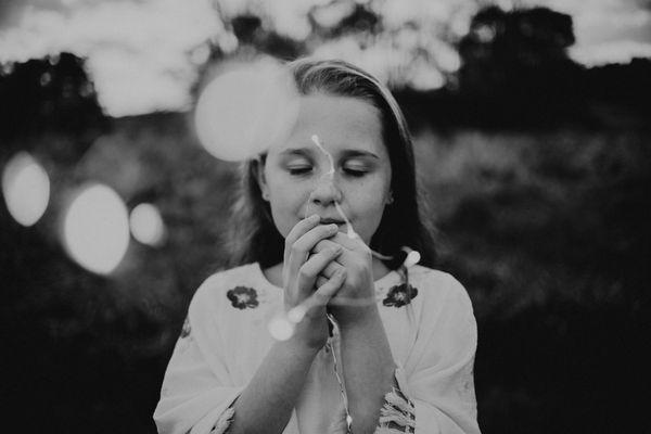 Wild Light Photography