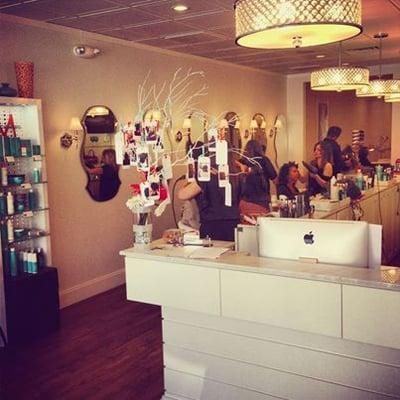 Beauty Bar and Salon