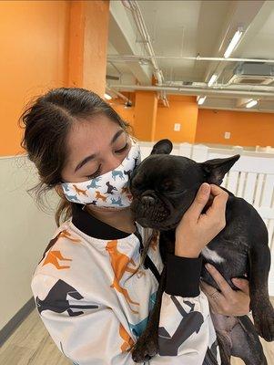 pupculture Dumbo