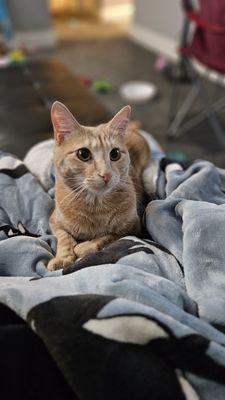 Keller's Mobile Veterinary Clinic