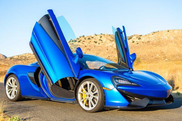 Explore Daily Exotics