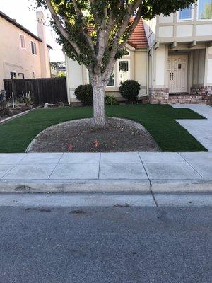 Ernestos ruanos gardening