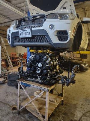 European Performance