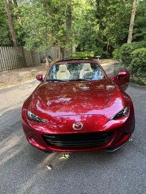 Love the sparkle and shine!