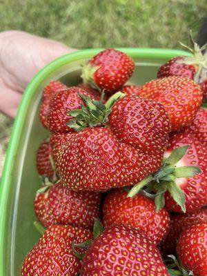 McQuesten Farm Stand