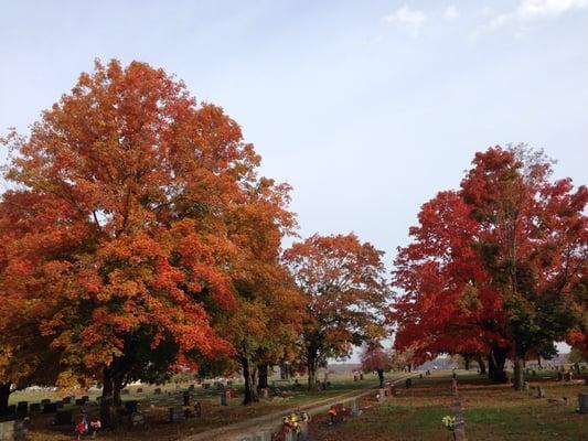 Greenlawn Funeral Homes