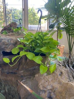 Lake Underhill Nursery