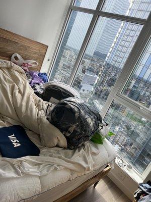 Hollywood Nancy's Cleaning Services