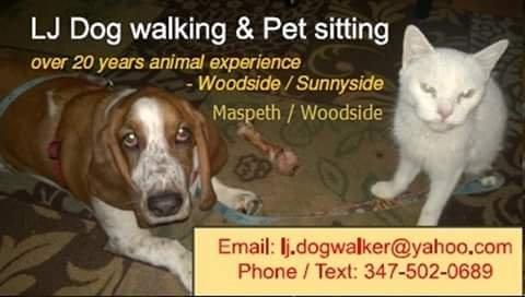 LJ Dog Walking & Pet Sitting