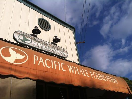 Pacific Whale Foundation