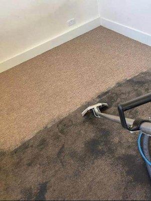 Joel’s Carpet Cleaning