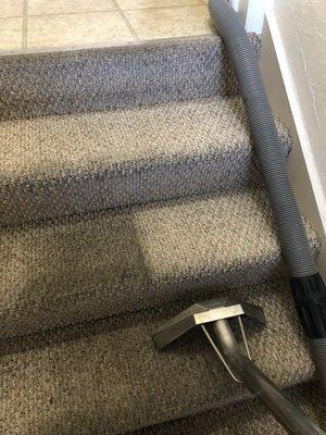 Pacific Rim Cleaning