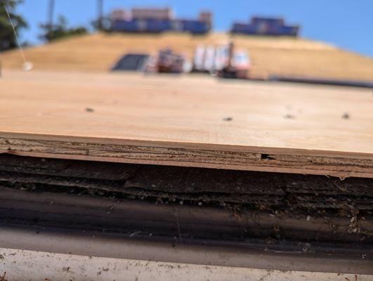 plywood installed without removing old shingles