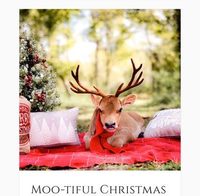 Cozy Camper Creations