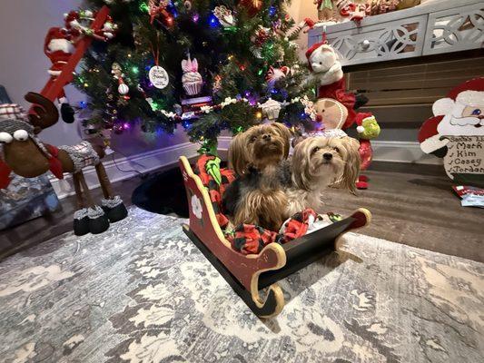 Murphy Veterinary Hospital