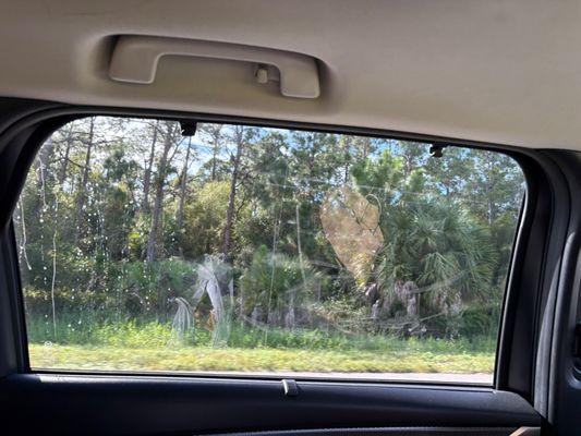 Dirty, smudged back windows ... looked like a large dog was in the back seat.