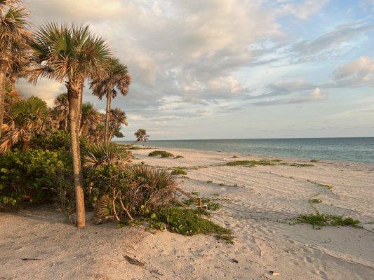 Four Sails Real Estate