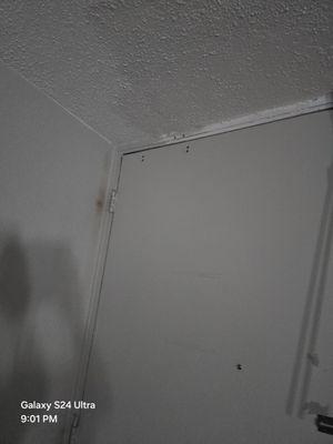 Entrance to room Freshly painted.