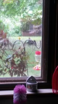 Summit Landscape Management