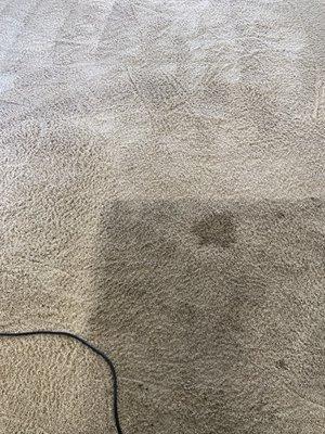 Cleaner Carpets