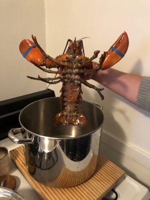 Lobster Bros Seafood